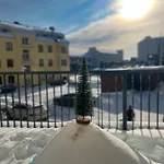 Winter Arctic * Rovaniemi