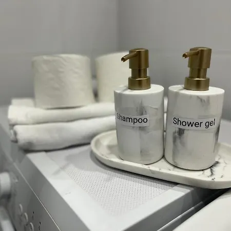 Winter Arctic 公寓 *