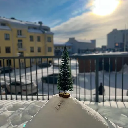 Winter Arctic * 罗瓦涅米