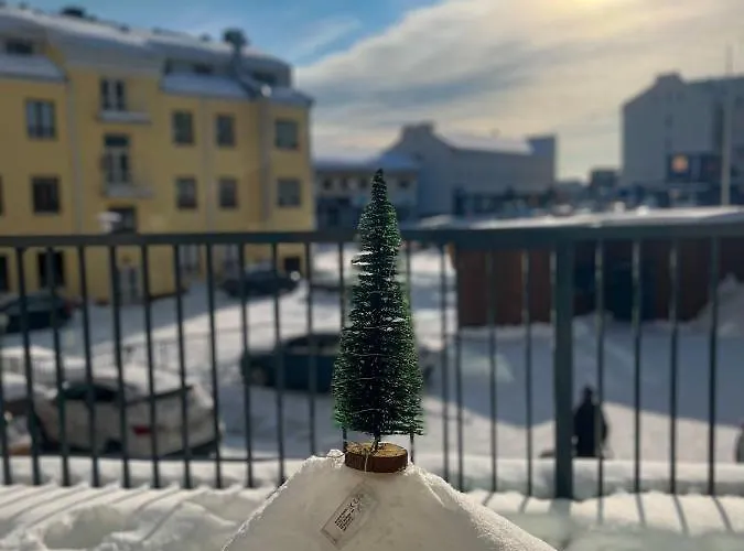 Winter Arctic * Rovaniemi